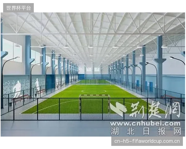 资本的涌入，是否正在扼杀社区共享球场原本应有的“全民普惠”属性？